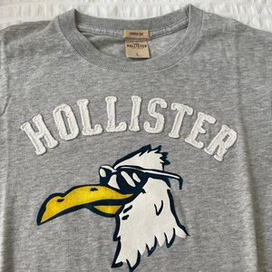 Hollister short sleeve t-shirt